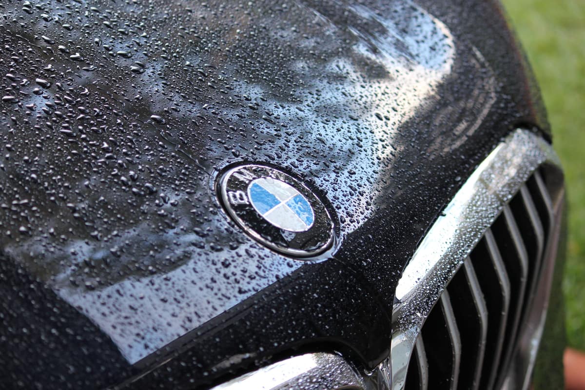 Water beading tightly on the hood of a freshly coated light colored car