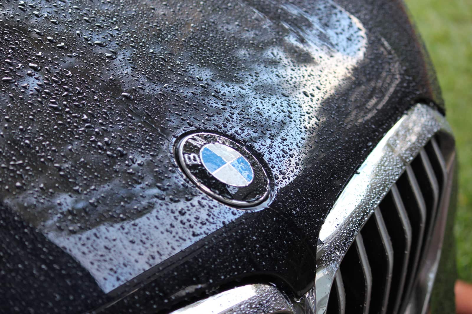 Water beading across a freshly protected pale car hood in bright daylight